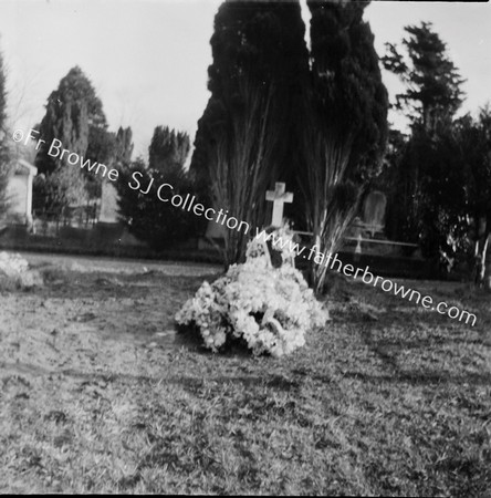 WALTER HAWES R.I.P. GRAVE